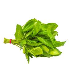 Basil