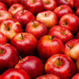 Crisp Apple
