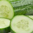 Cucumber
