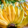 Banana Kampala