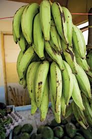Plantain (Stalk)