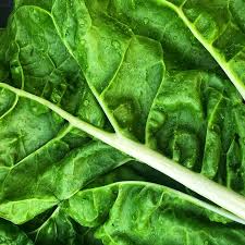 Spinach