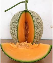 Sweet melon
