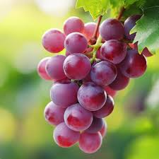 Grapes (Red)